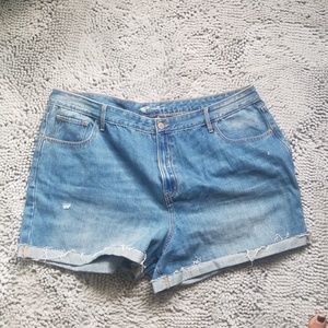 Plus Size High Waisted Shorts